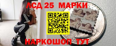 шишки Ставрополь